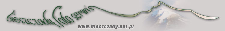 bieszczady.net.pl