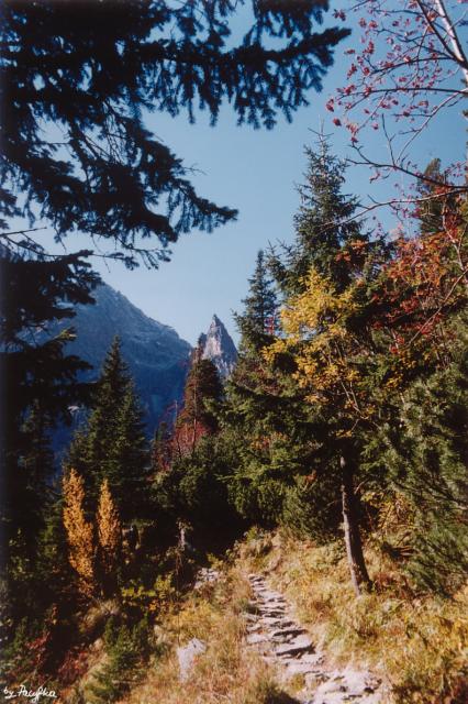 Mnich - fot. Pacyfka