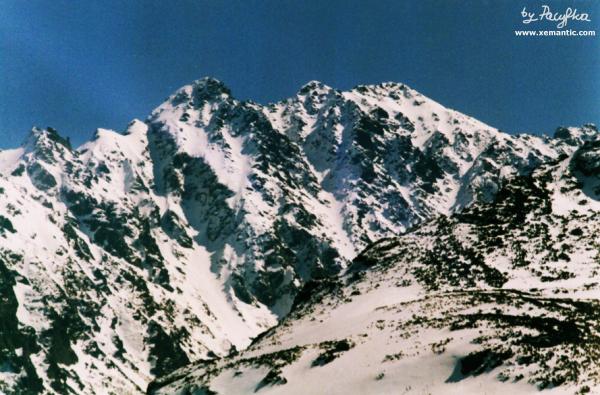Granaty