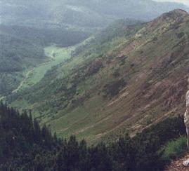 Jaworzynka