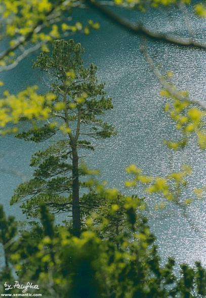Morskie Oko
