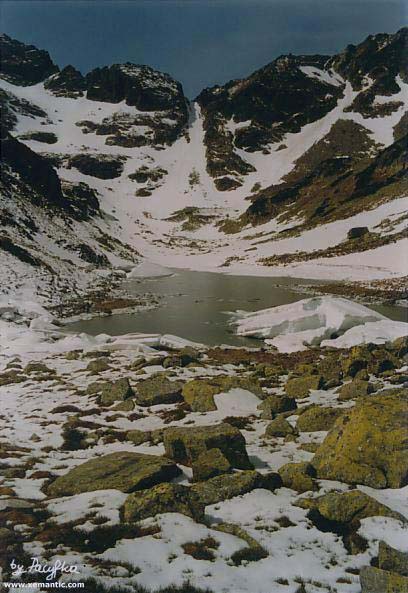 Staw Staszica